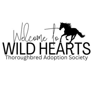 How We Give Back To The Horses Through Donations and Love. wild hearts logo transparent background